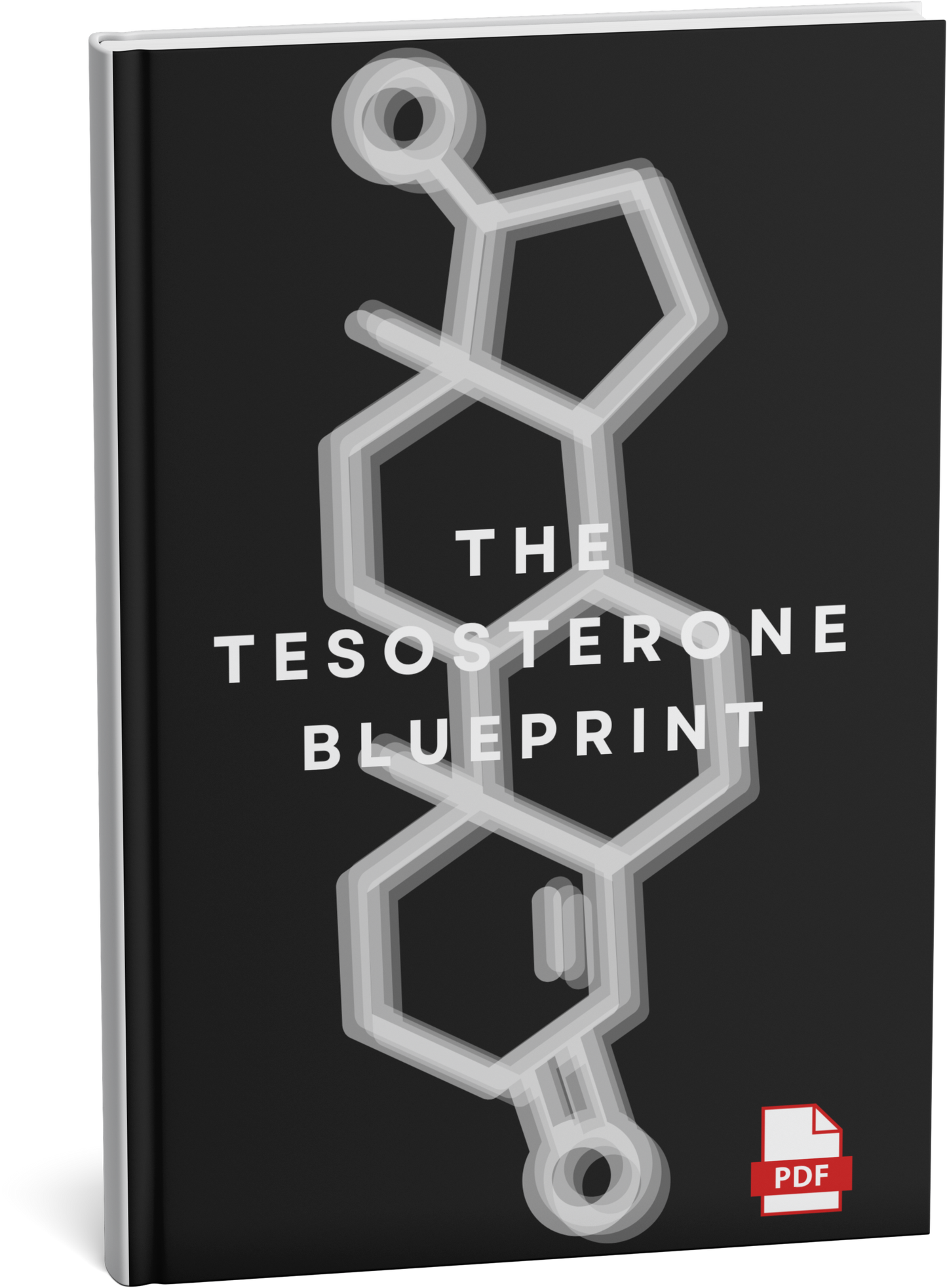 The Testosterone Blueprint (PDF)